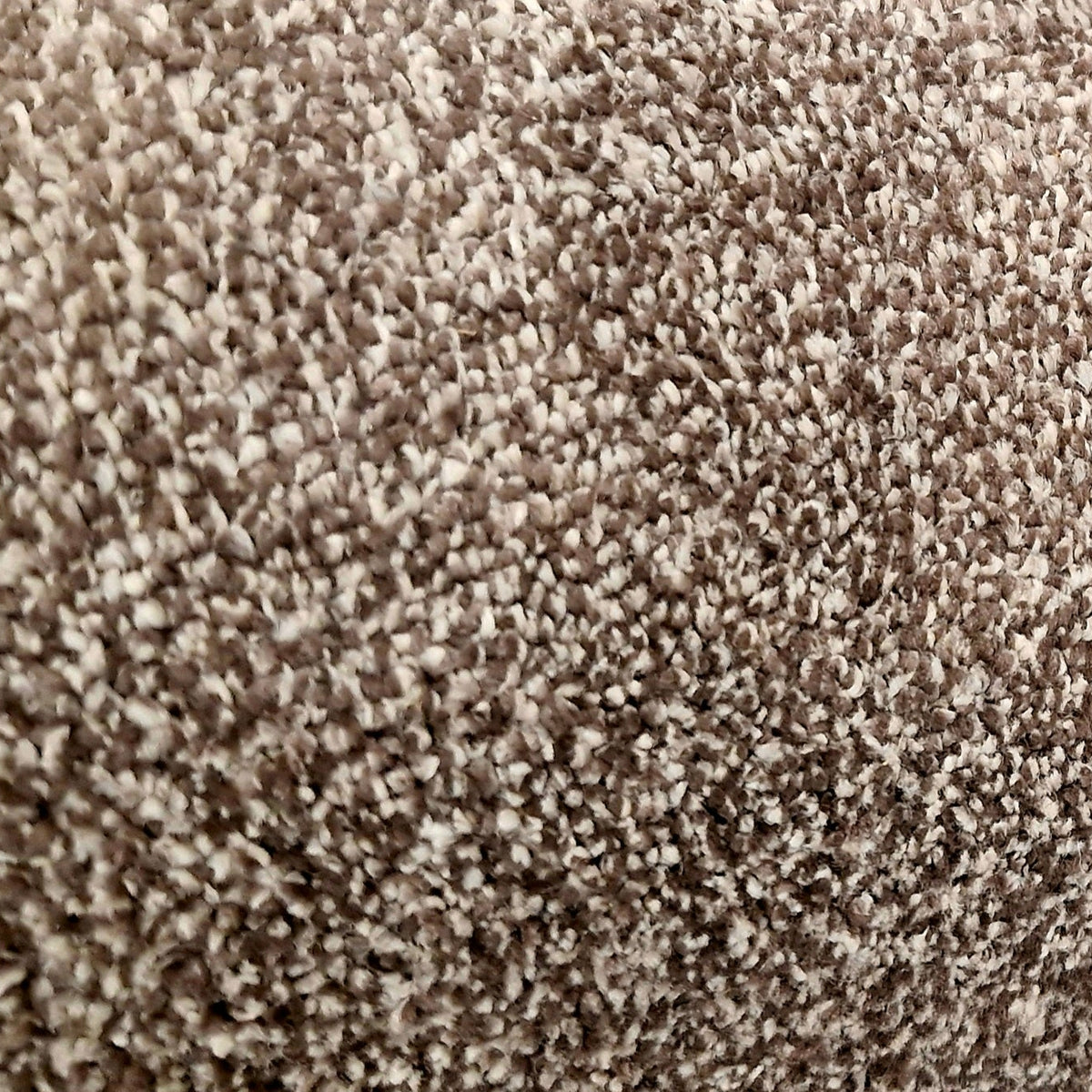 Close-up of brown textured carpet