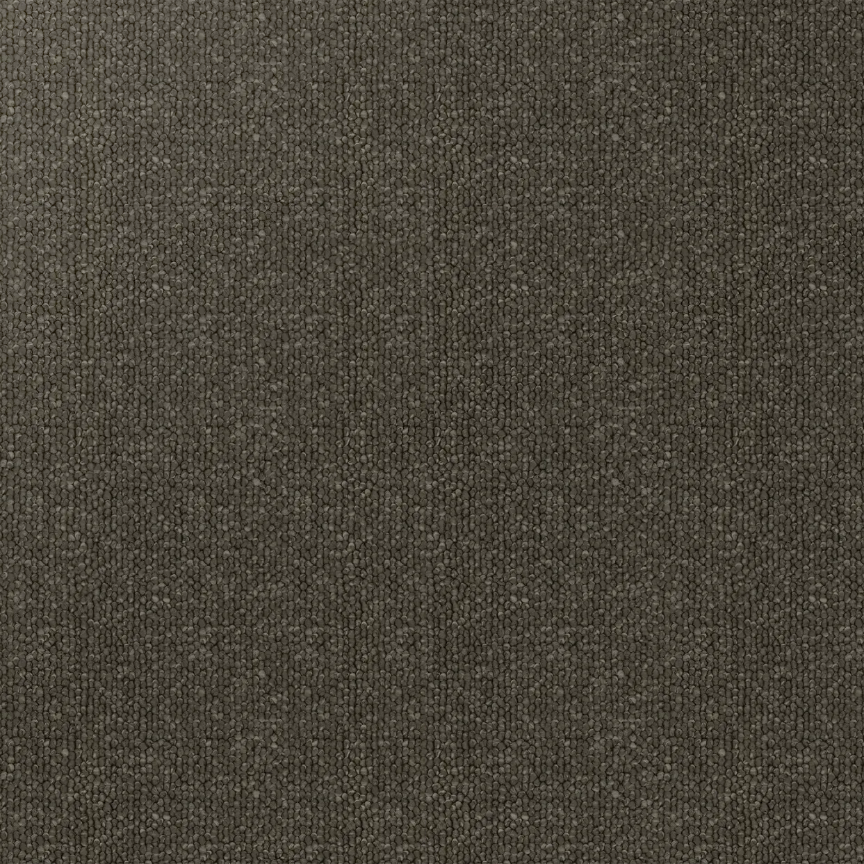 San Marino Carpet