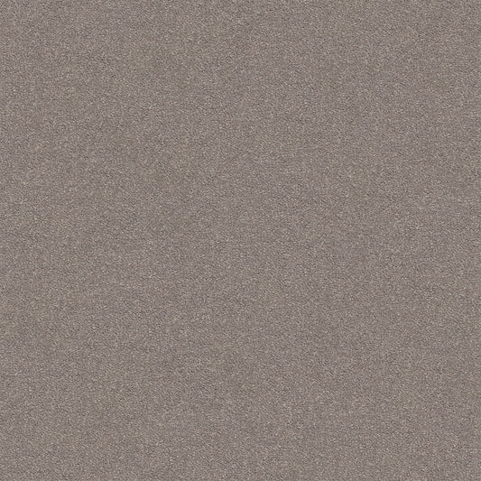 Dream Shadows Carpet