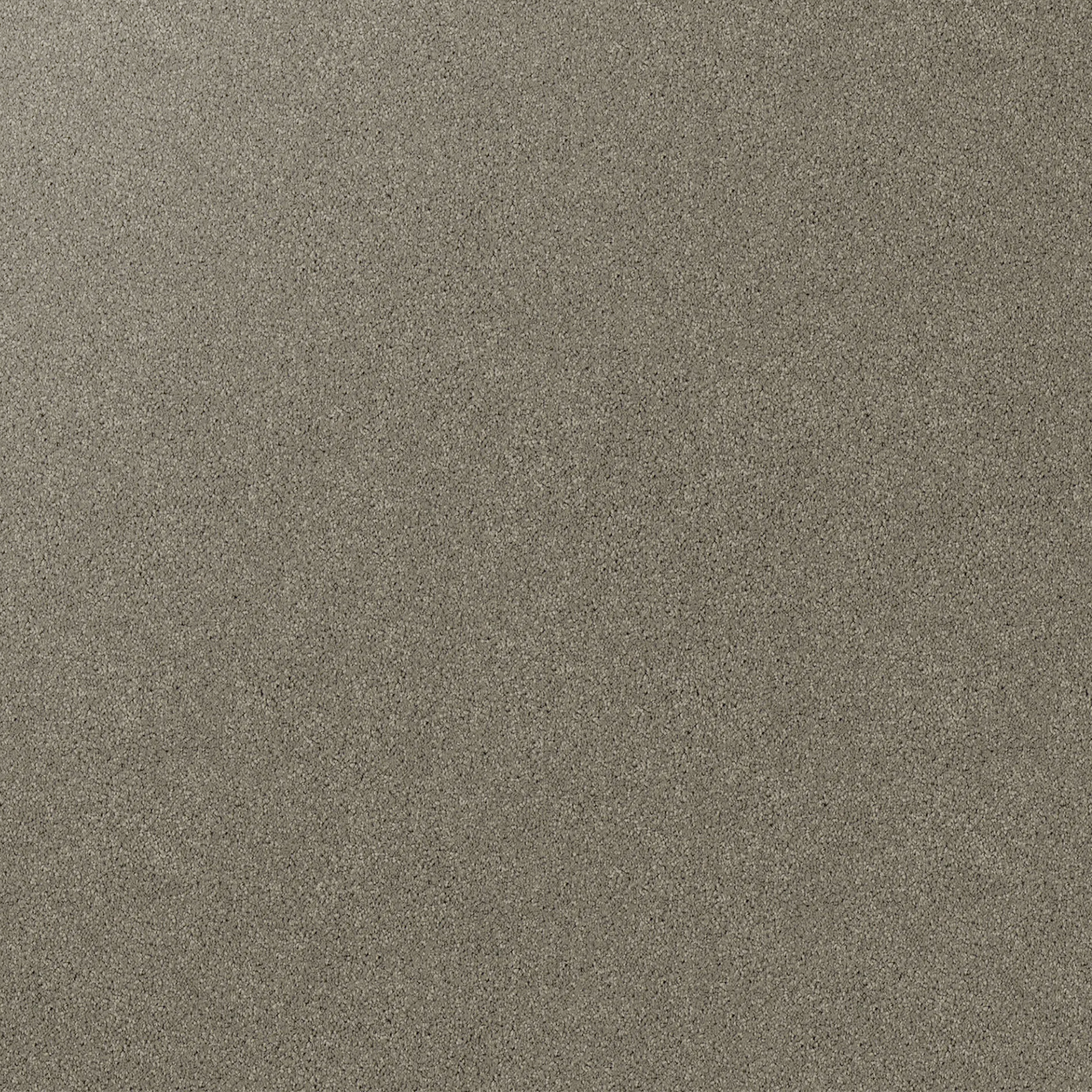 Gentle Essence Carpet End Roll