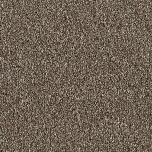 Havari Carpet