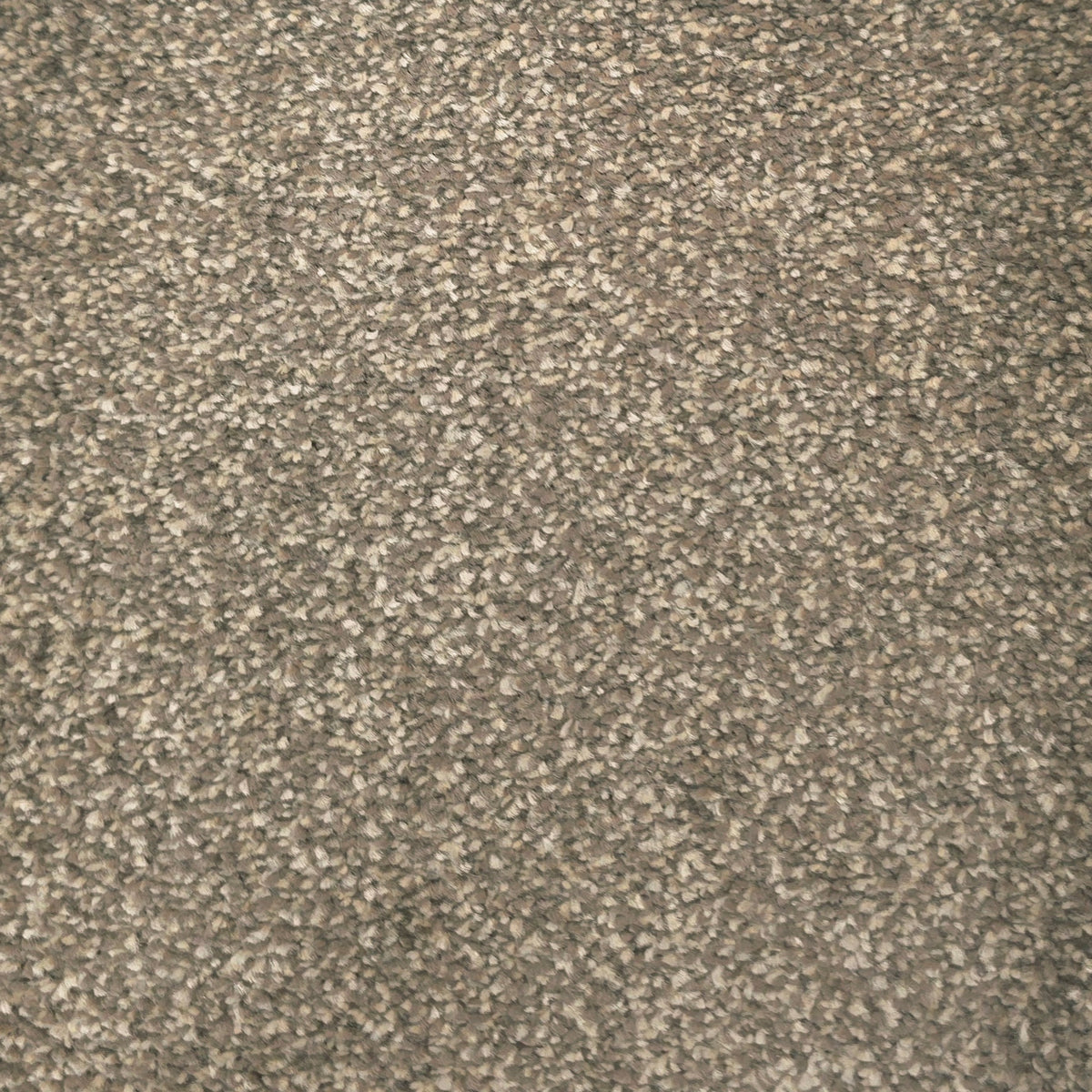 Havari Carpet
