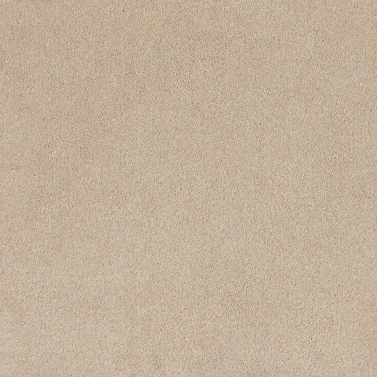 Comfort Touch Carpet
