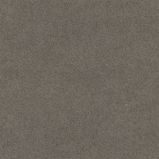 Lasting Touch Carpet