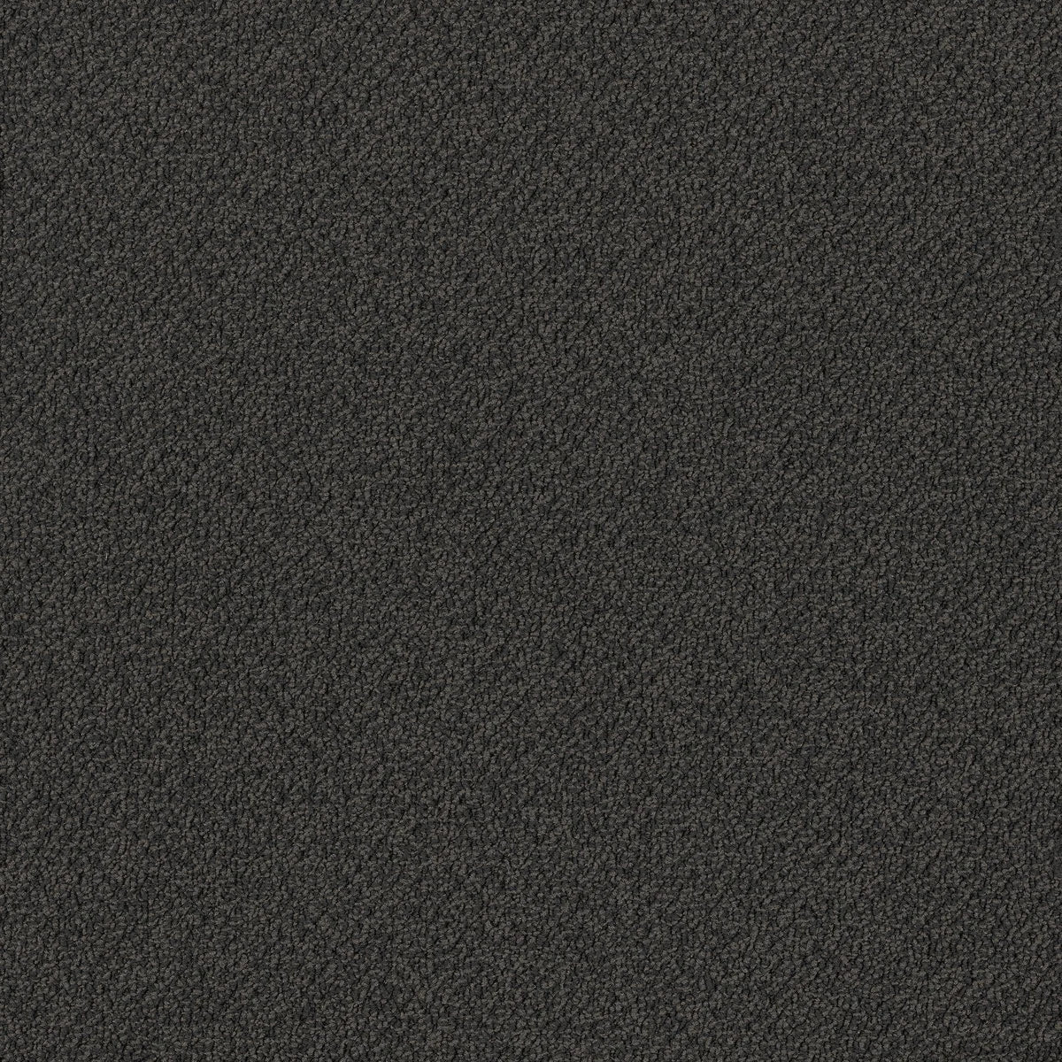 Bourkesgate Carpet