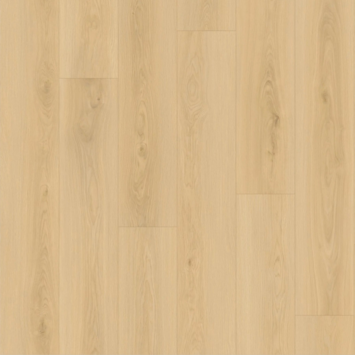 Queensland Oak Laminate Sale $20m²