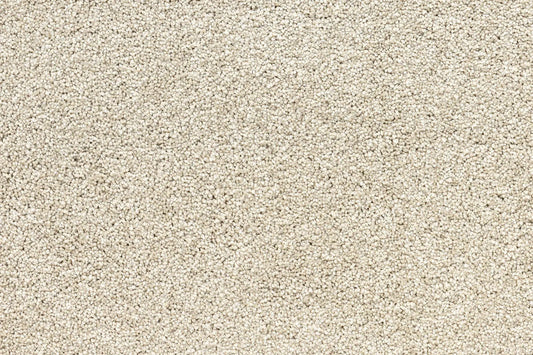 Bentley Plaza Carpet