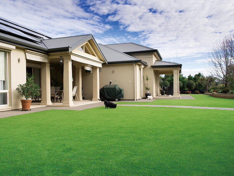 Bermuda Synthetic Turf