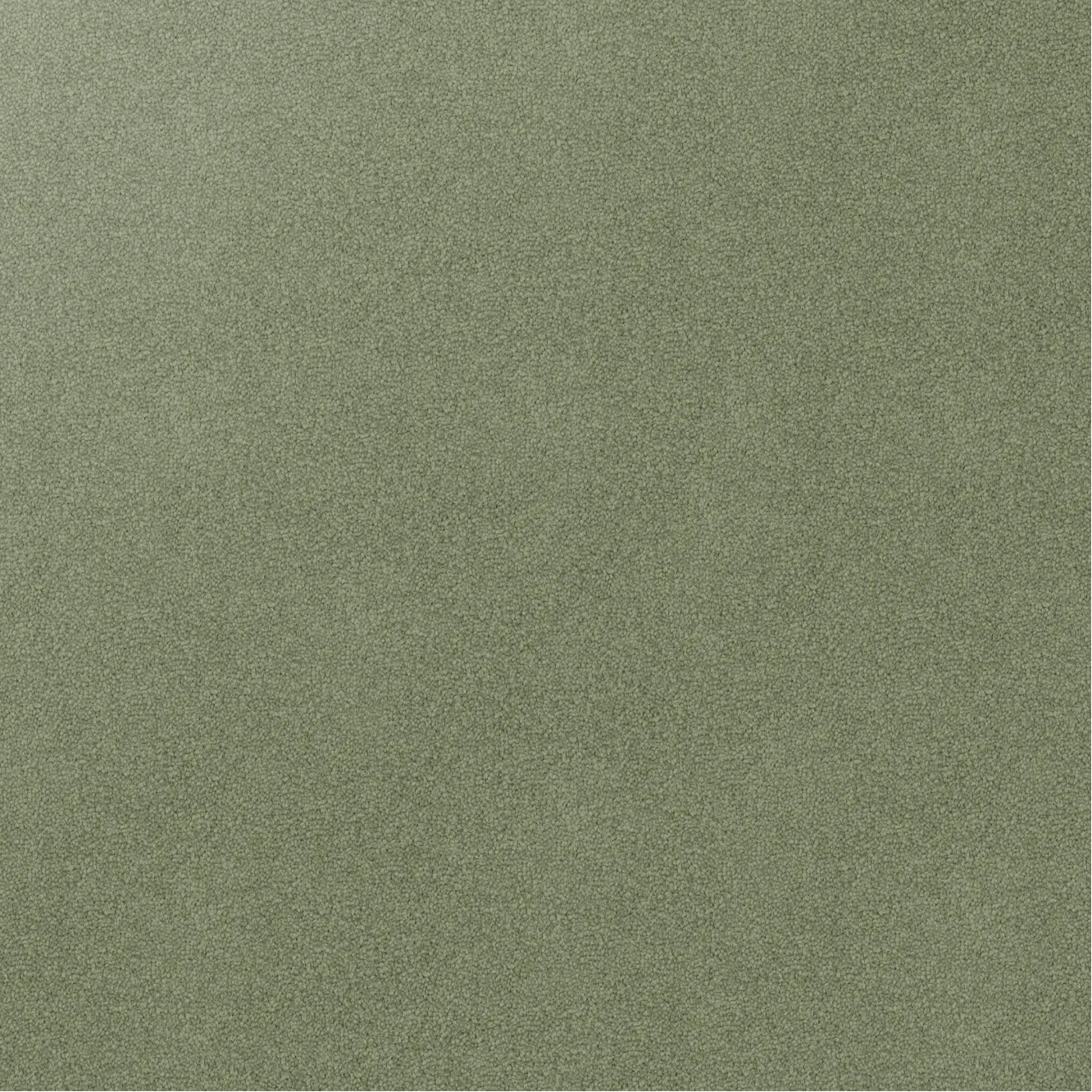 Godfrey Hirst Inspirational Greendale carpet sample showing soft cut pile twist triexta texture in a muted green‑grey tone.