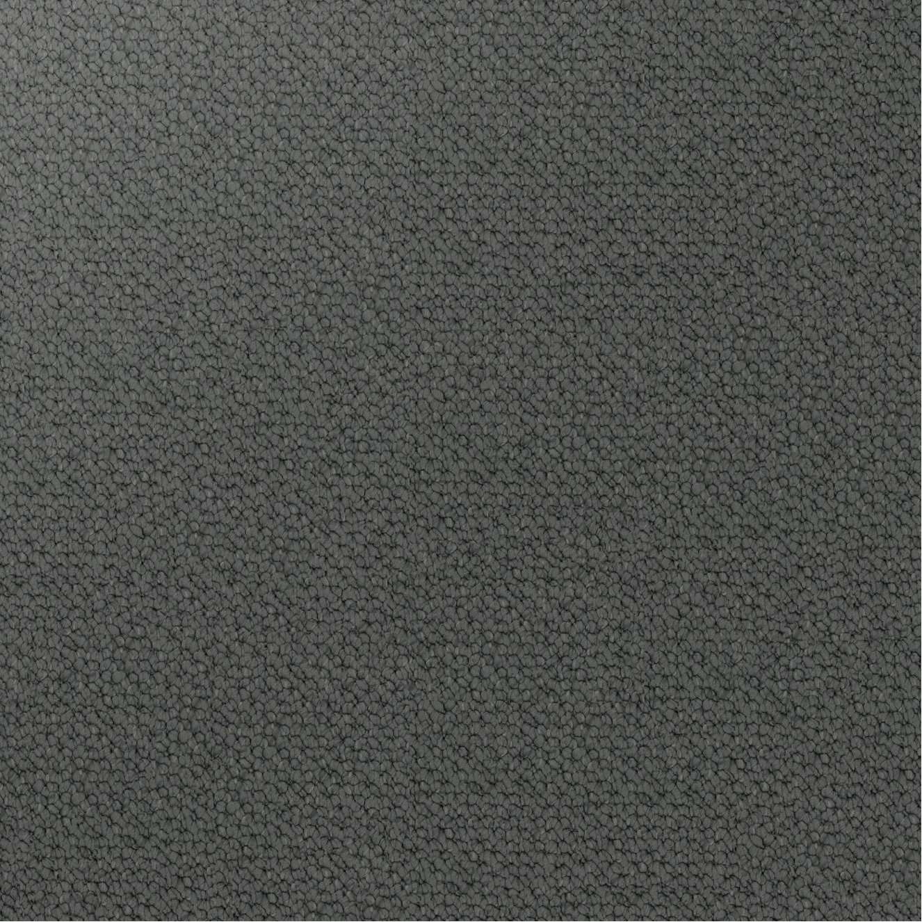 Close-up showing the chunky loop pile texture of solution dyed nylon carpet for family living spaces. colour Iron