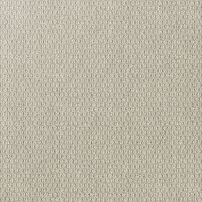 Kashmir Carpet