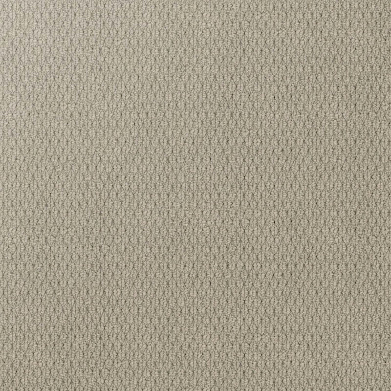 Kashmir Carpet