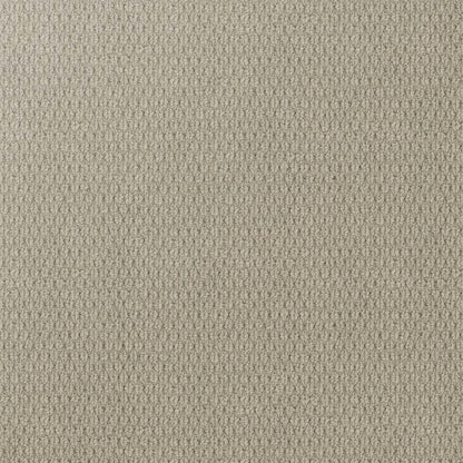 Kashmir Carpet