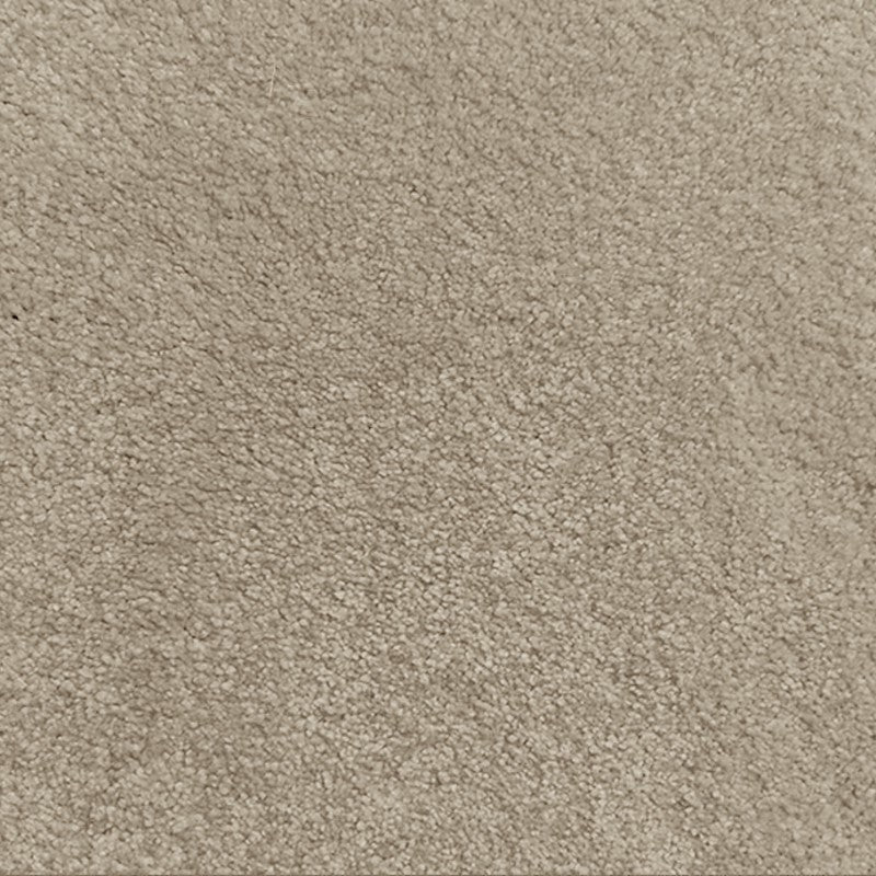 Regal Elegance Carpet