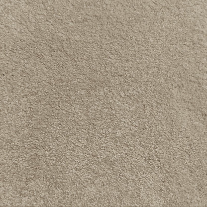 Regal Elegance Carpet