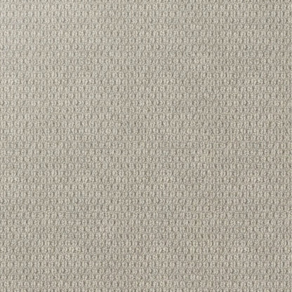 Kashmir Carpet