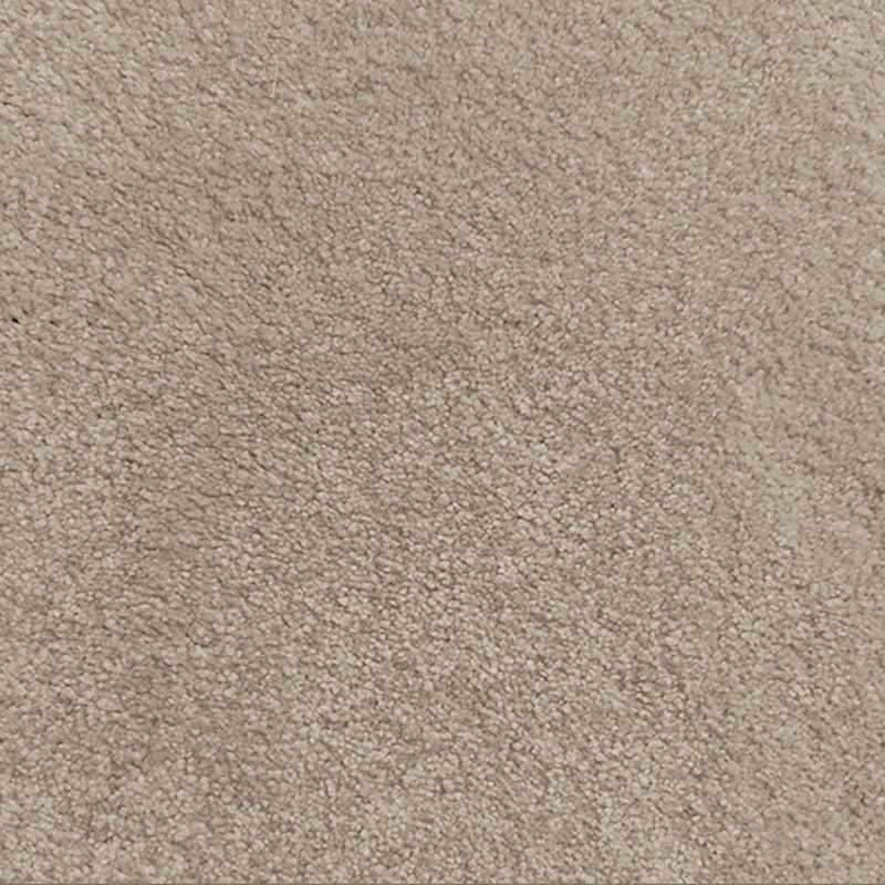 Regal Elegance Carpet