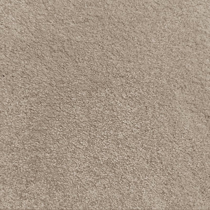 Regal Elegance Carpet
