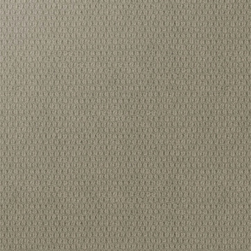 Kashmir Carpet