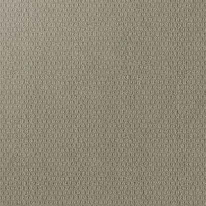 Kashmir Carpet