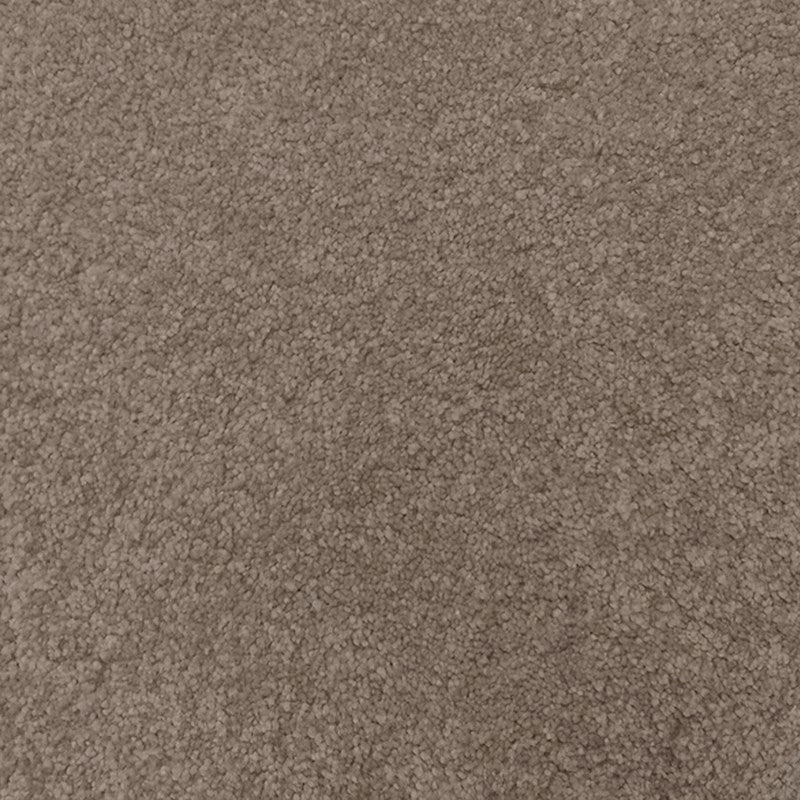 Regal Elegance Carpet