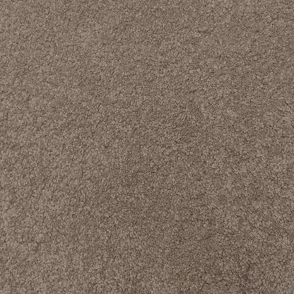 Regal Elegance Carpet