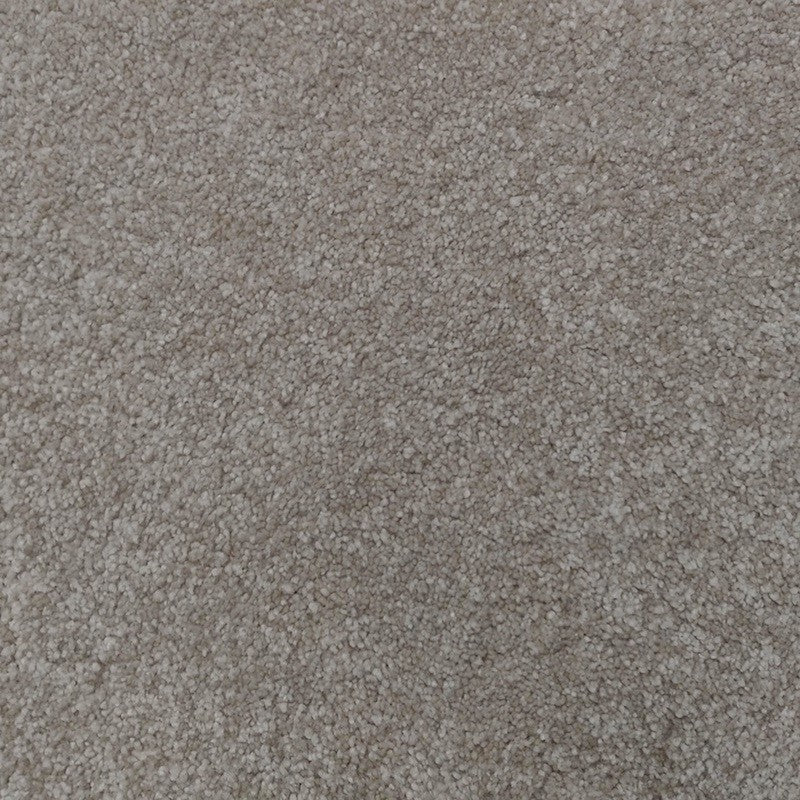 Regal Elegance Carpet