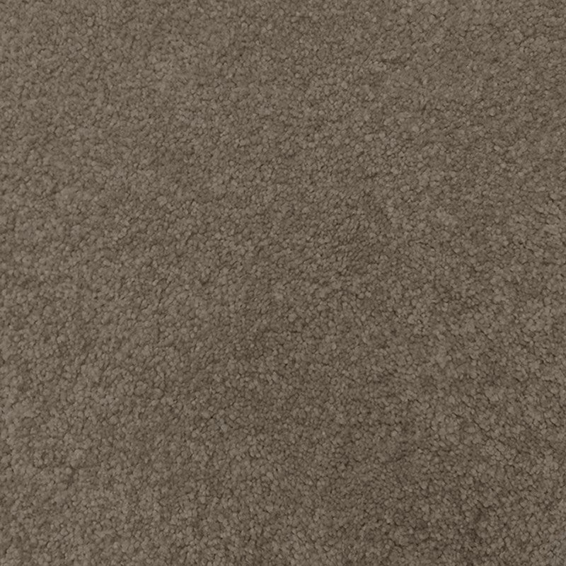 Regal Elegance Carpet