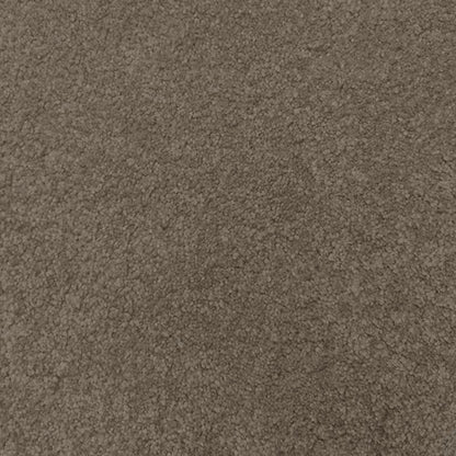 Regal Elegance Carpet