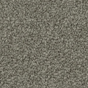 Domain Rise Carpet