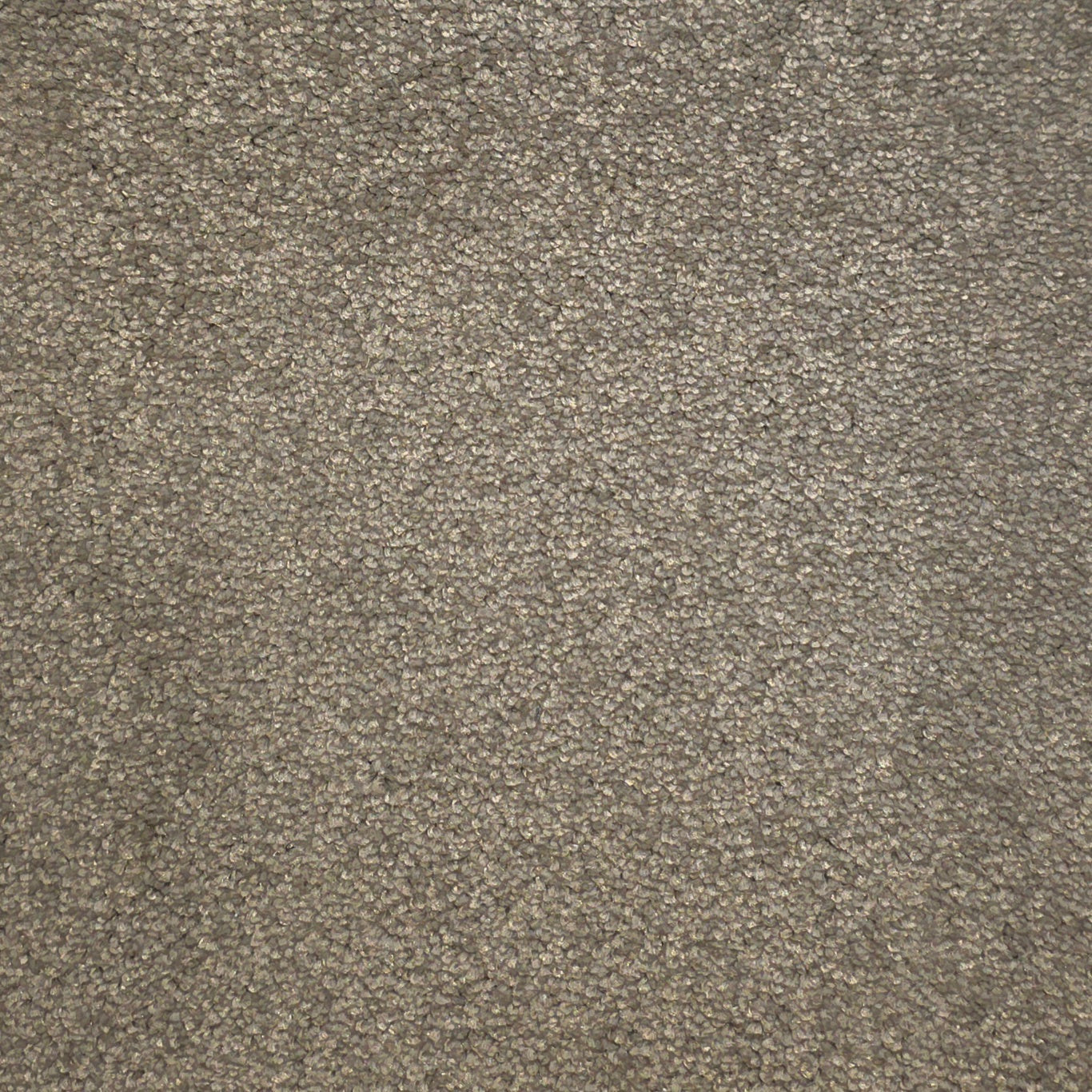 Devora Carpet