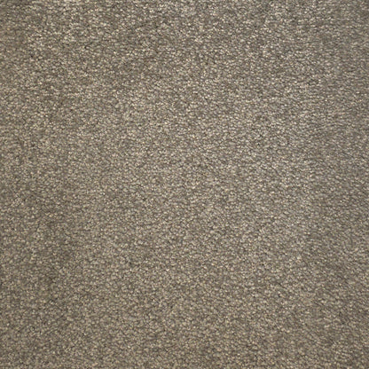 Devora Carpet