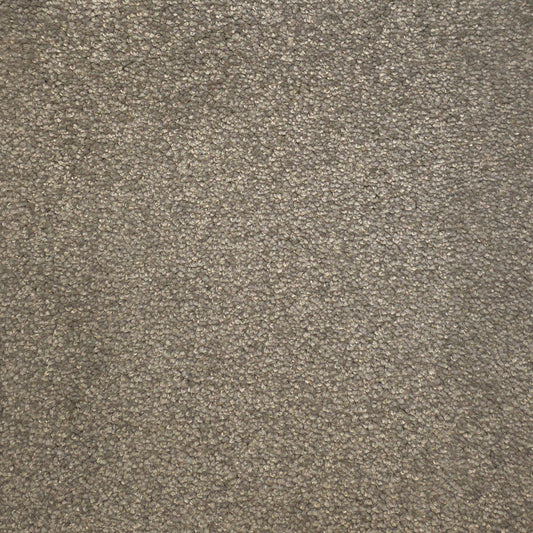 Devora Carpet