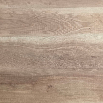 Harmony Oak Hybrid
