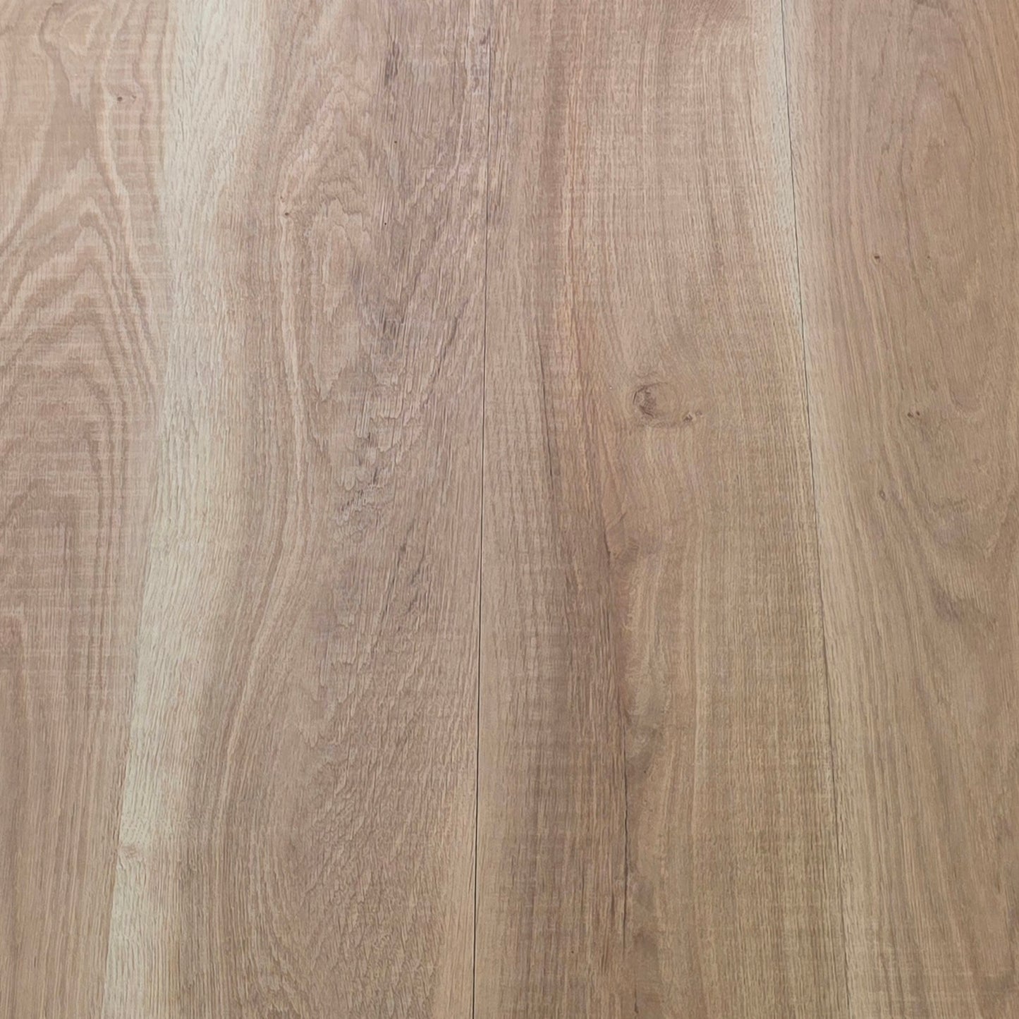 Harmony Oak Hybrid