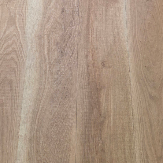 Harmony Oak Hybrid