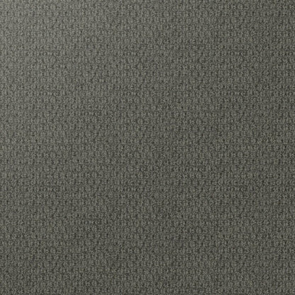 Kashmir Carpet