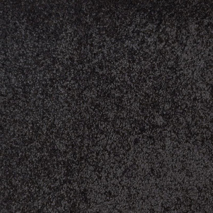 Regal Elegance Carpet
