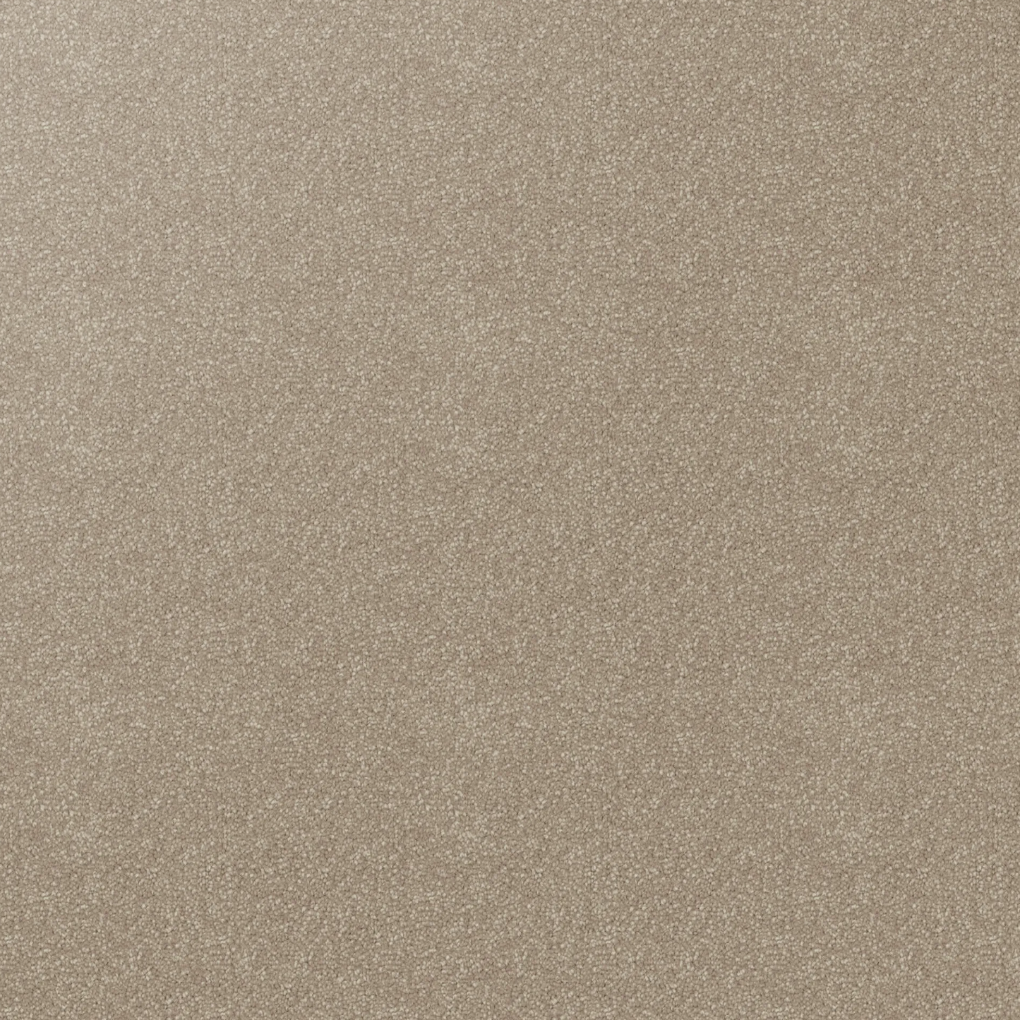 Beige cut pile twist carpet with cream flecks. 