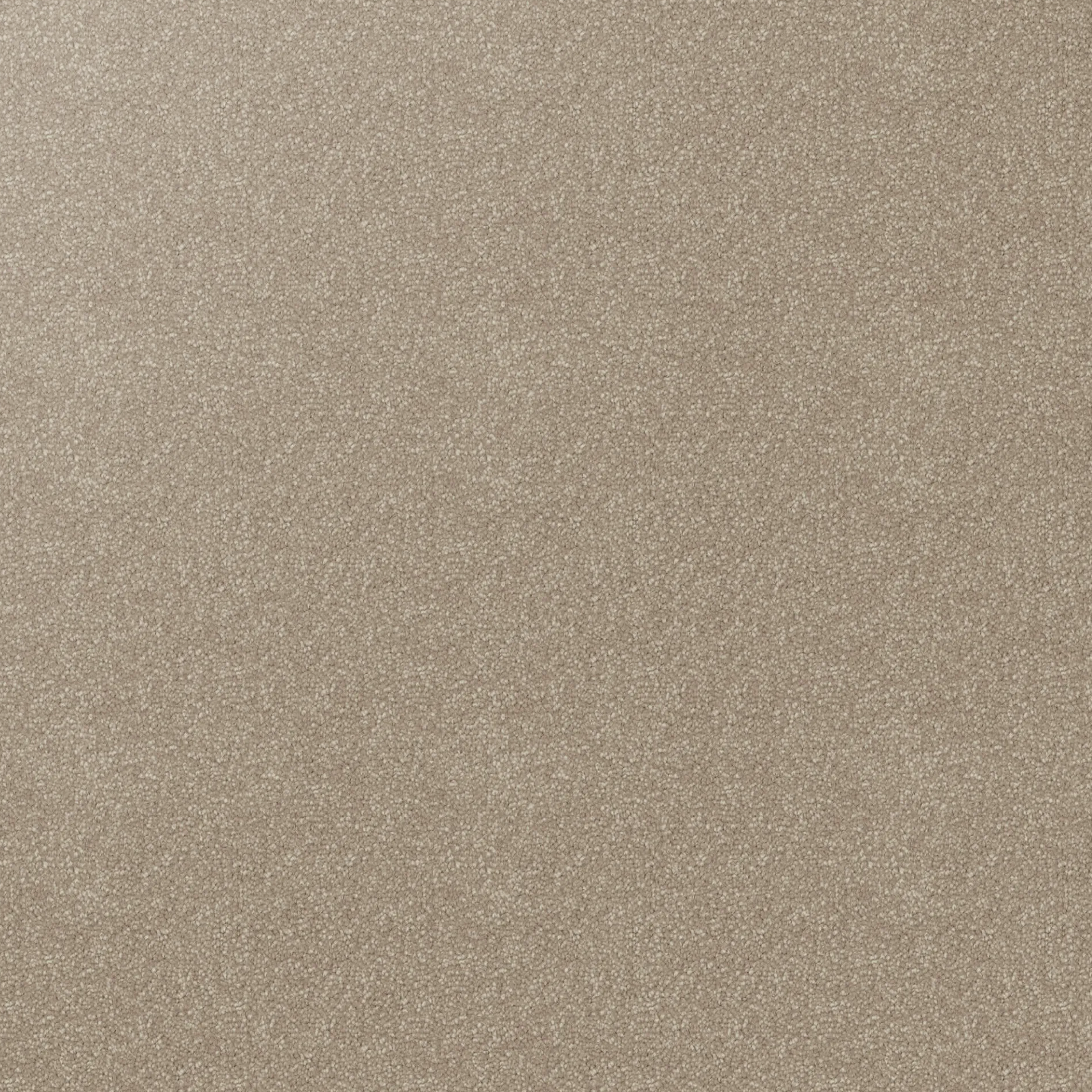 Beige cut pile twist carpet with cream flecks. 