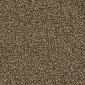 Close-up of brown carpet 