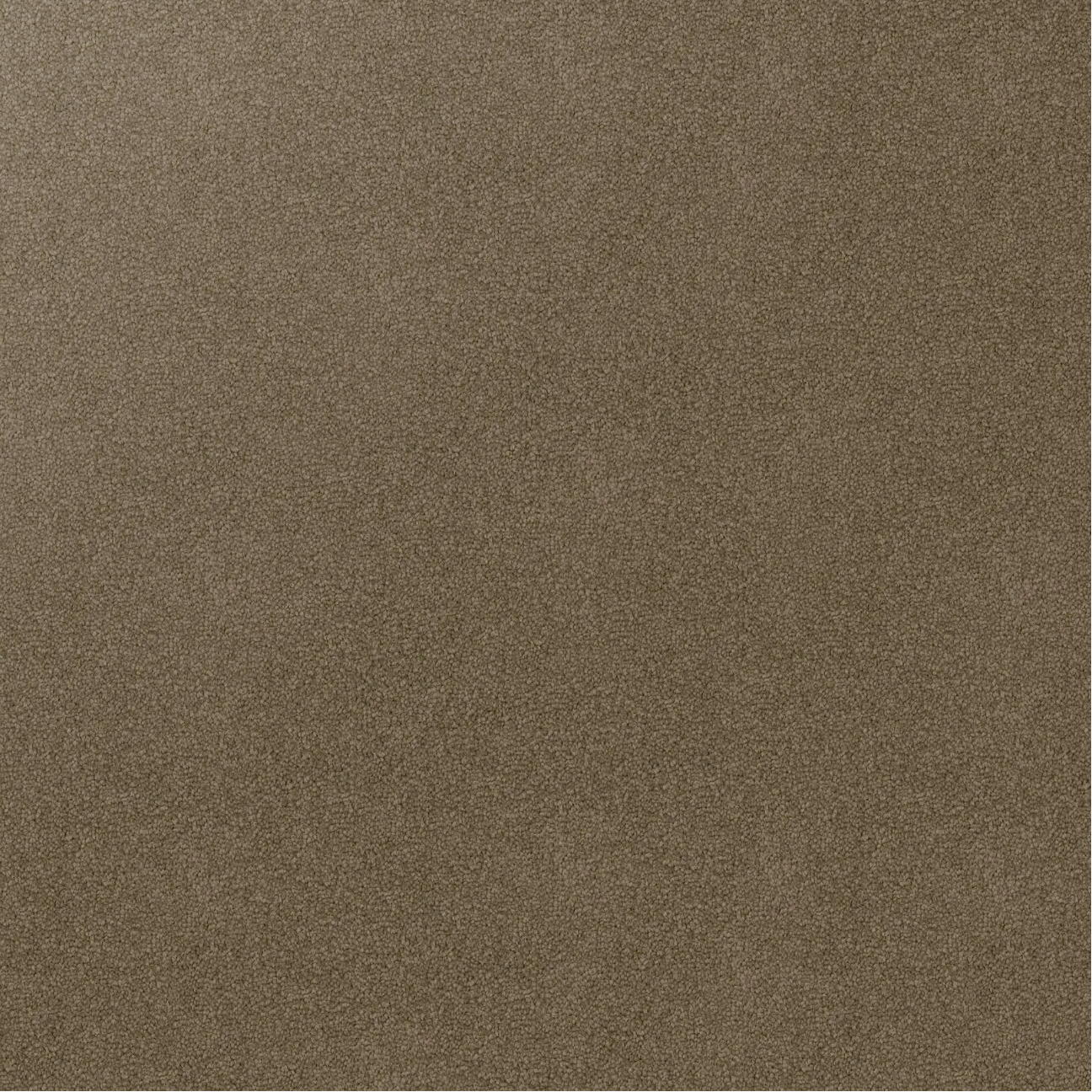 Solid brown color carpet