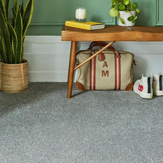 Room withlight grey carpet