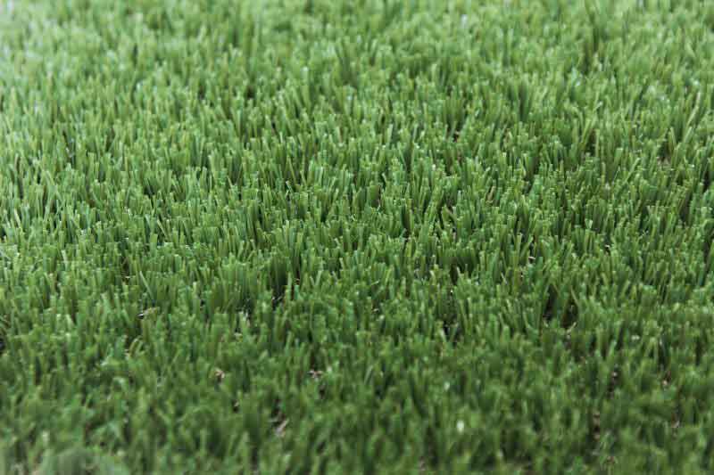 Bermuda Synthetic Turf