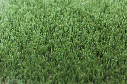 Bermuda Synthetic Turf