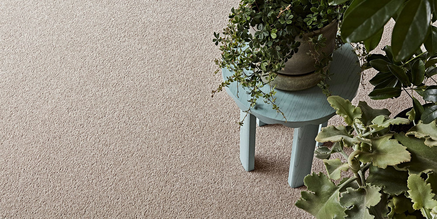 close up beige carpet with a small green stool and potted plant setting