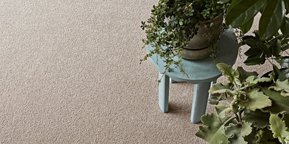 close up beige carpet with a small green stool and potted plant setting