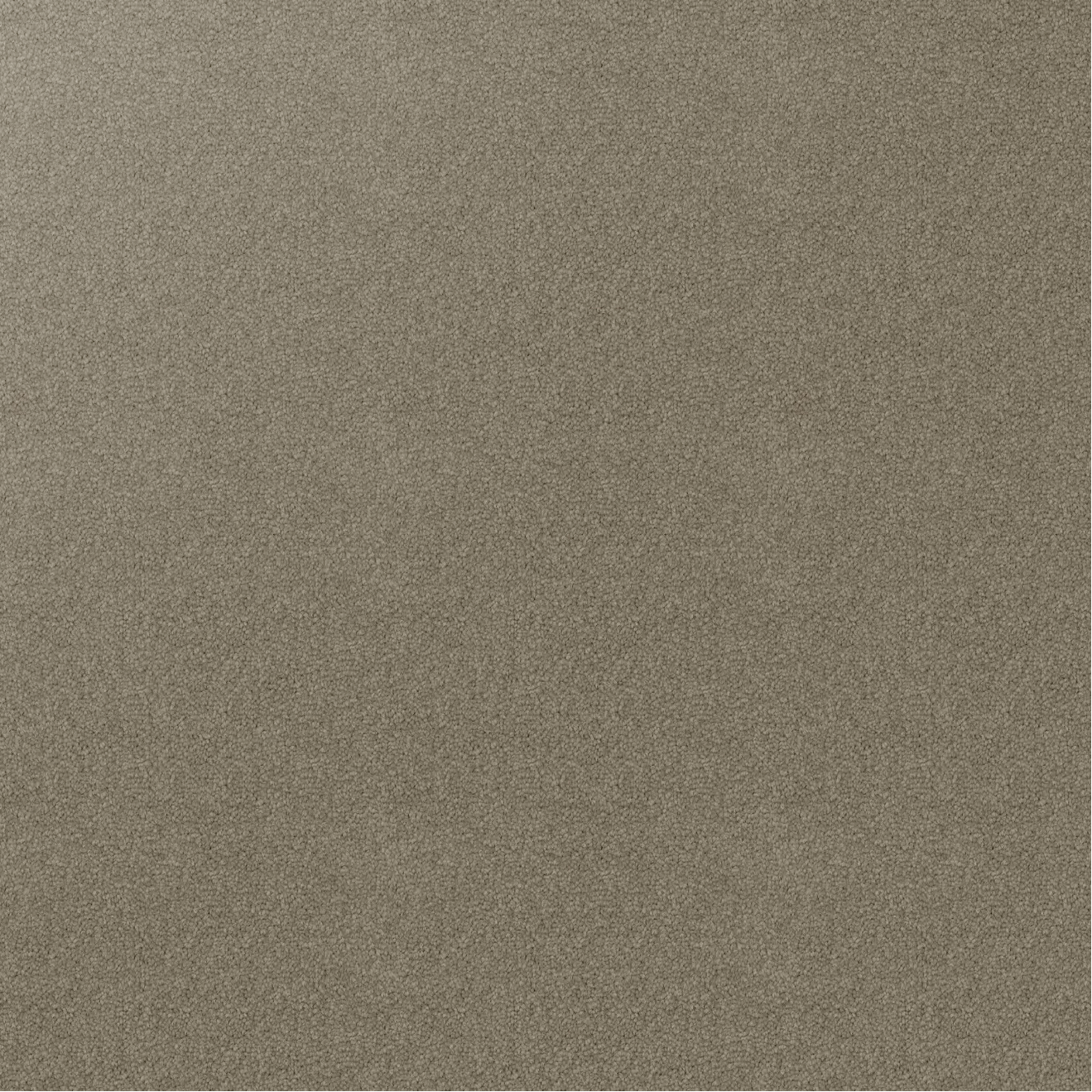 Swatch of brown carpet colour Bollard.