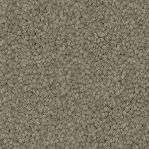Close-up of a textured brown carpet.