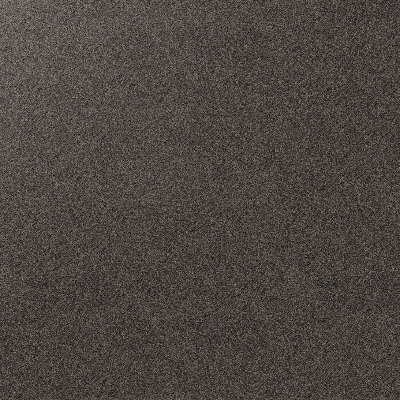 Sample of dark carpet, Boulder Stipple.